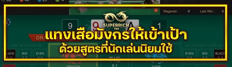 แทงเสือมังกรให้เข้าเป้า ด้วยสู