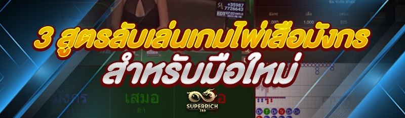 3 สูตรลับเล่นเกมไพ่เสือมังกร สำหรับมือใหม่ 